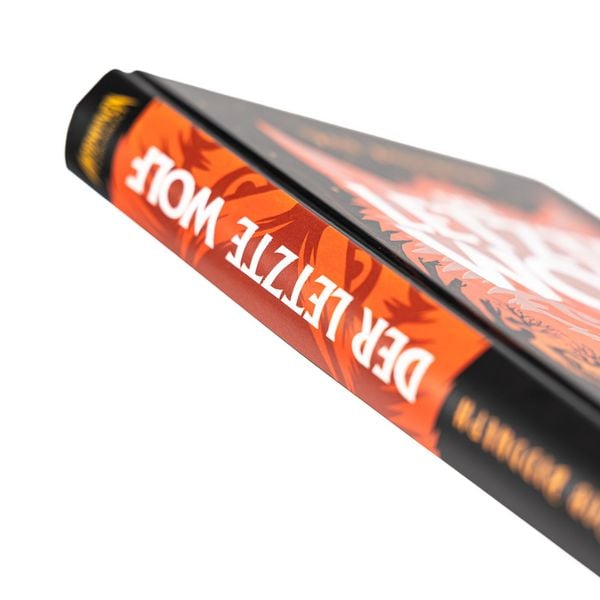 Produktbild: Moonhaven Chroniken. Der letzte Wolf