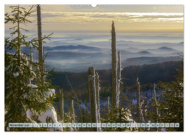 Produktbild: Bayer-Woid-Buidl (Wandkalender 2026 DIN A2 quer), CALVENDO Monatskalender