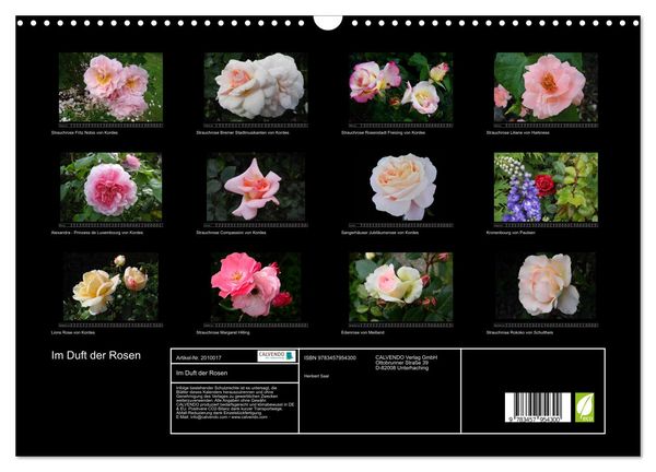 Produktbild: Im Duft der Rosen (Wandkalender 2026 DIN A3 quer), CALVENDO Monatskalender