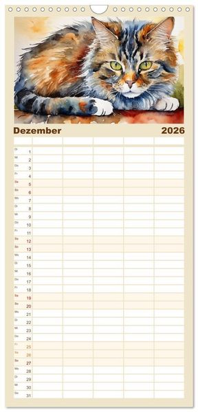 Produktbild: Familienplaner 2026 - Samtpfoten im Portrait mit 5 Spalten (Wandkalender, 21 x 45 cm) CALVENDO