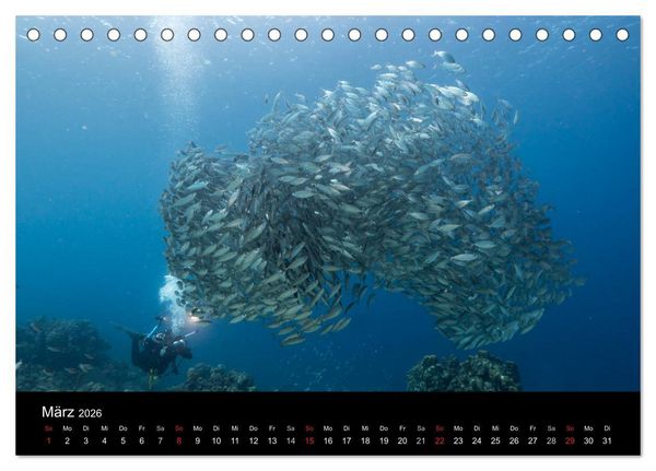 Produktbild: Tanz der Fische (Tischkalender 2026 DIN A5 quer), CALVENDO Monatskalender