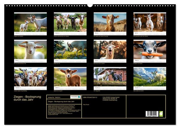 Produktbild: Ziegen - Bocksprung durch das Jahr (Wandkalender 2026 DIN A2 quer), CALVENDO Monatskalender