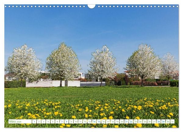 Produktbild: K&ouml;ln Widdersdorf - Bl&uuml;tentr&auml;ume und l&auml;ndliche Idylle (Wandkalender 2026 DIN A3 quer), CALVENDO Monatskalender