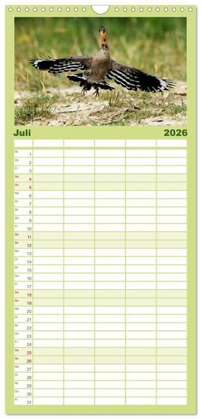 Produktbild: Familienplaner 2026 - Der Wiedehopf mit 5 Spalten (Wandkalender, 21 x 45 cm) CALVENDO