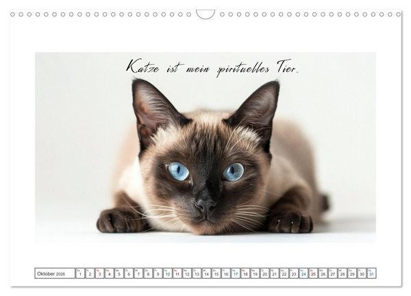 Produktbild: Katzenpower (Wandkalender 2026 DIN A3 quer), CALVENDO Monatskalender