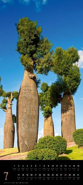 Produktbild: Trees 2024