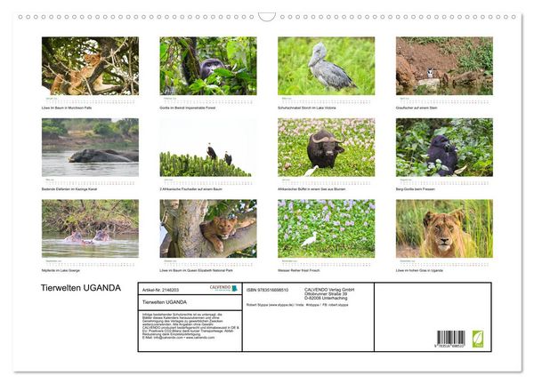 Produktbild: Tierwelten UGANDA (Wandkalender 2026 DIN A2 quer), CALVENDO Monatskalender
