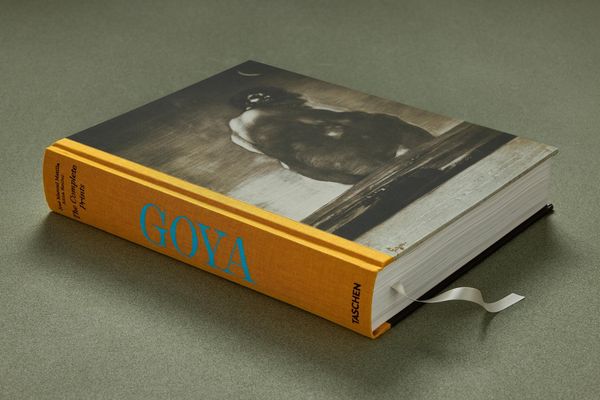 Produktbild: Goya