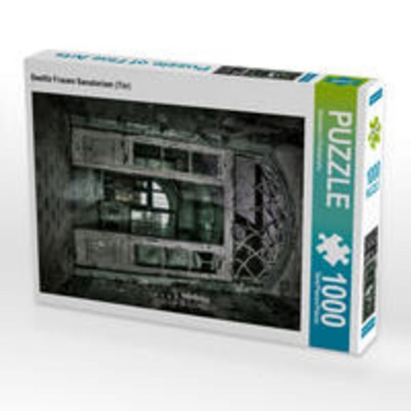 CALVENDO Puzzle Beelitz Frauen Sanatorium (Tür) 1000 Teile Lege-Größe 48 x 64 cm Foto-Puzzle Bild von Stanislaw´s Photography