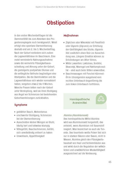 Produktbild: Praxisratgeber Wochenbett. Beschwerden lindern und vorbeugen.