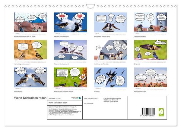 Produktbild: Wenn Schwalben reden (Wandkalender 2026 DIN A3 quer), CALVENDO Monatskalender