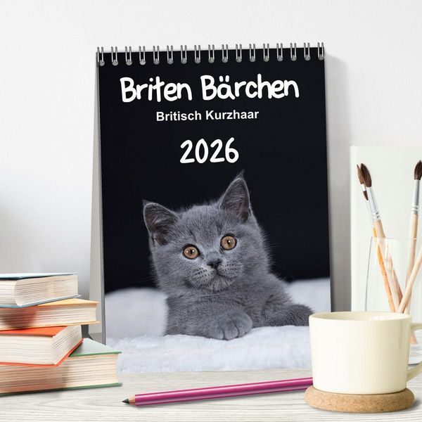 Produktbild: Briten B&auml;rchen &ndash; Britisch Kurzhaar 2026 (Tischkalender 2026 DIN A5 hoch), CALVENDO Monatskalender