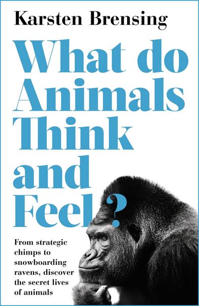 Produktbild: What Do Animals Think and Feel?