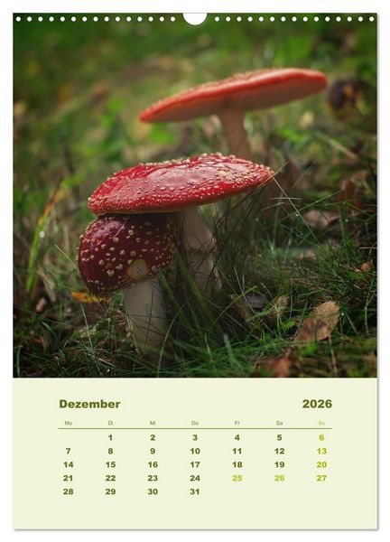 Produktbild: Wundersame Welt der Pilze (Wandkalender 2026 DIN A3 hoch), CALVENDO Monatskalender