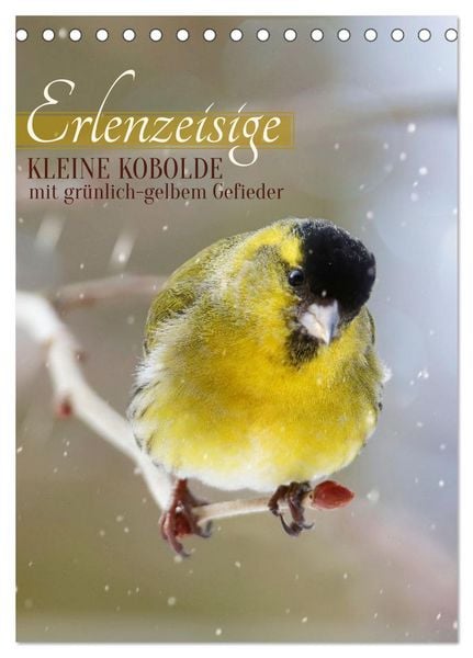 Produktbild: Erlenzeisige, kleine Kobolde (Tischkalender 2026 DIN A5 hoch), CALVENDO Monatskalender