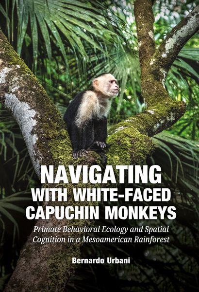 Produktbild: Navigating with White-Faced Capuchin Monkeys