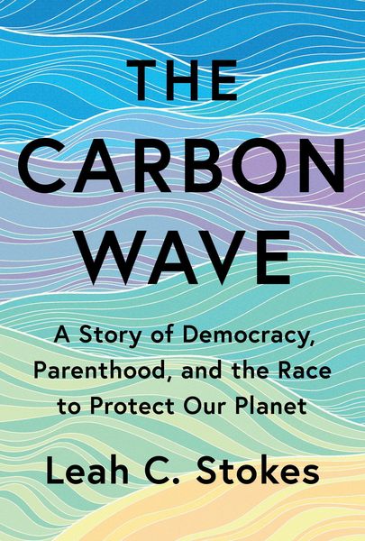 Produktbild: The Carbon Wave