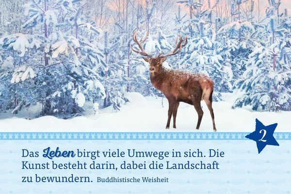 Produktbild: Hosentaschenadventskalender 2024