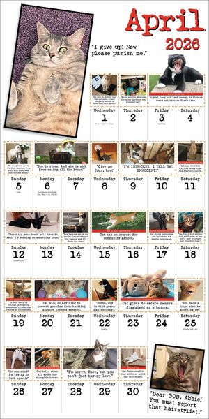 Produktbild: Bad Cat Wall Calendar 2026