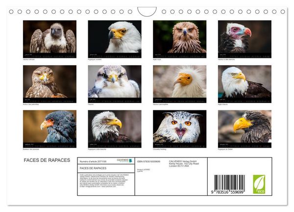 Produktbild: FACES DE RAPACES (Calendrier mural 2026 DIN A4 vertical), CALVENDO calendrier mensuel