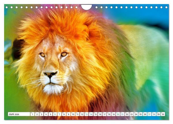 Produktbild: Farbenfestival der Tiere - Artwork (Wandkalender 2026 DIN A4 quer), CALVENDO Monatskalender