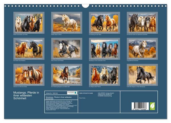 Produktbild: Mustangs. Pferde in ihrer wildesten Sch&ouml;nheit (Wandkalender 2026 DIN A3 quer), CALVENDO Monatskalender