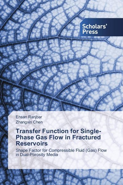 Produktbild: Transfer Function for Single-Phase Gas Flow in Fractured Reservoirs