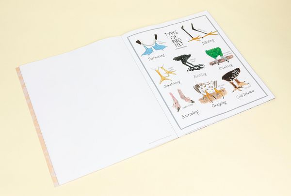 Produktbild: Bird Anatomy Posters