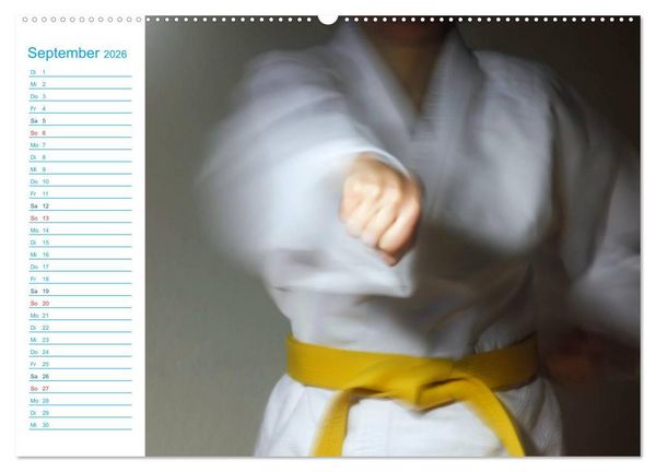 Produktbild: Kampfsport (hochwertiger Premium Wandkalender 2026 DIN A2 quer), Kunstdruck in Hochglanz