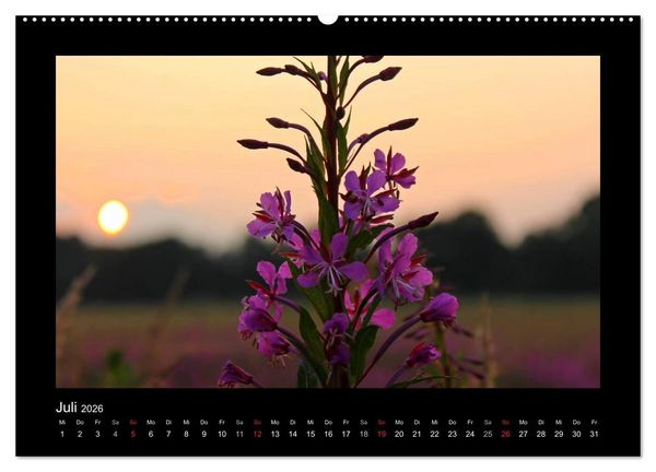 Produktbild: Landschaft Teufelsmoor / 2026 (hochwertiger Premium Wandkalender 2026 DIN A2 quer), Kunstdruck in Hochglanz
