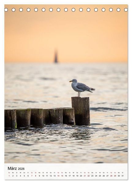 Produktbild: Fischland-Dar&szlig;-Zingst - Im Licht des Nordens (Tischkalender 2026 DIN A5 hoch), CALVENDO Monatskalender