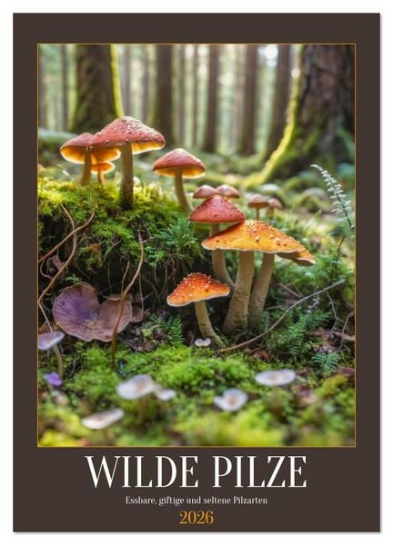 Produktbild: WILDE PILZE - Essbare, giftige und seltene Pilzarten (Wandkalender 2026 DIN A2 hoch), CALVENDO Monatskalender