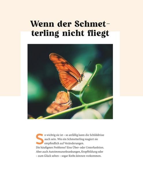 Produktbild: Meine Gesundheitsretter aus der Natur f&uuml;r eine starke Schilddr&uuml;se