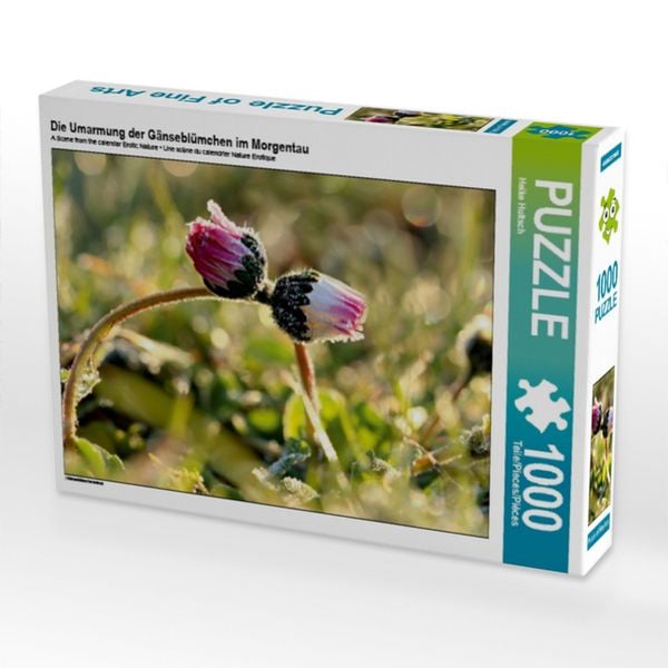 CALVENDO Puzzle Die Umarmung der Gänseblümchen im Morgentau | 1000 Teile Lege-Größe 64x48cm Foto-Puzzle für glückliche Stunden