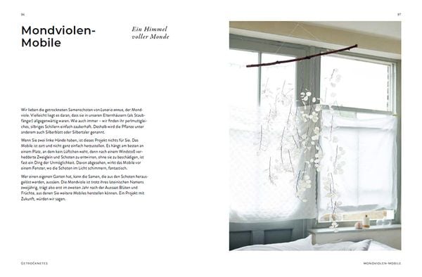 Produktbild: Blumen binden und Kr&auml;nze winden