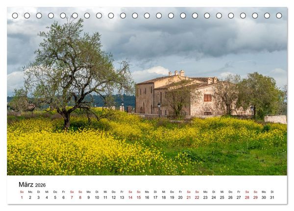 Produktbild: B&auml;ume - Wunder der Natur (Tischkalender 2026 DIN A5 quer), CALVENDO Monatskalender