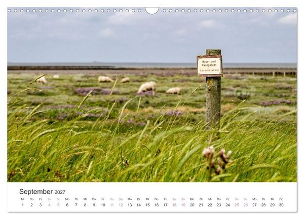 Produktbild: Hamburger Hallig - Der Weg ist das Ziel (Wandkalender 2027 DIN A3 quer), CALVENDO Monatskalender