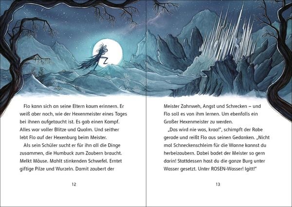 Produktbild: Der Zaubersch&uuml;ler (Band 1) - Fluch des Hexenmeisters