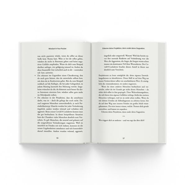 Produktbild: Meistere dein Mindset