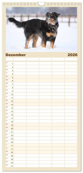 Produktbild: Familienplaner 2026 - Hovawarte - einmal anders mit 5 Spalten (Wandkalender, 21 x 45 cm) CALVENDO