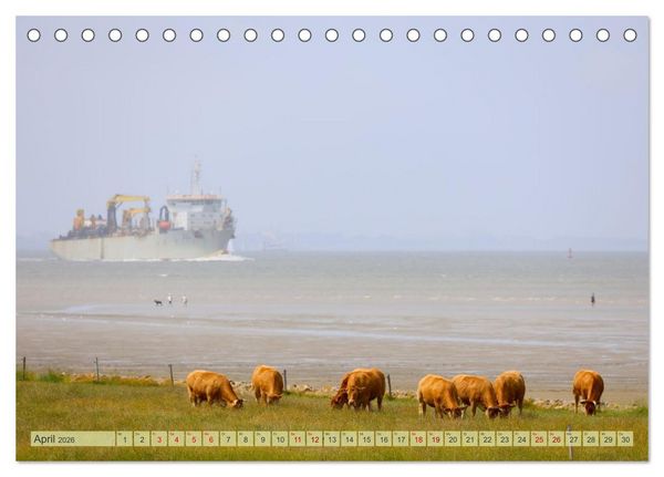 Produktbild: Cuxland, Urlaubsgl&uuml;ck zwischen Nordsee und Elbe (Tischkalender 2026 DIN A5 quer), CALVENDO Monatskalender