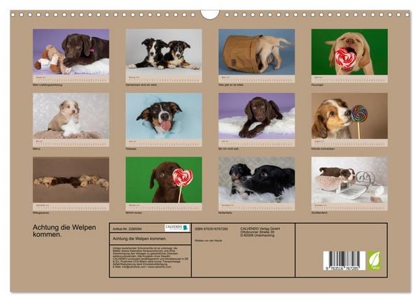 Produktbild: Achtung die Welpen kommen. (Wandkalender 2027 DIN A3 quer), CALVENDO Monatskalender