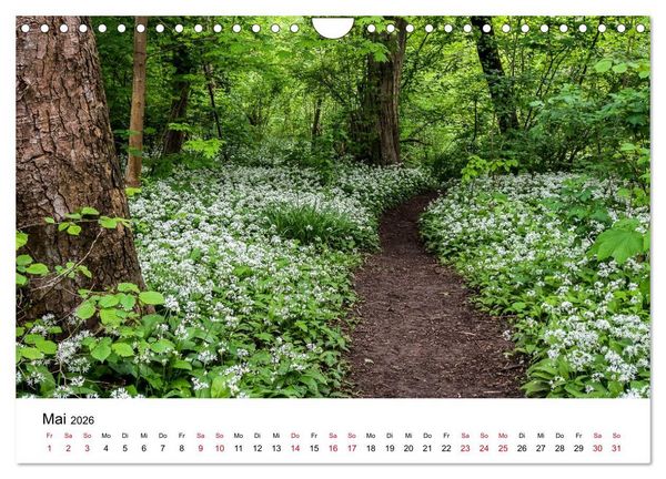 Produktbild: Wege in der Natur - Kraichgau und Enzkreis (Wandkalender 2026 DIN A4 quer), CALVENDO Monatskalender