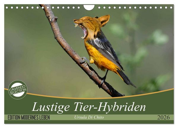 Produktbild: Lustige Tier-Hybriden (Wandkalender 2026 DIN A4 quer), CALVENDO Monatskalender