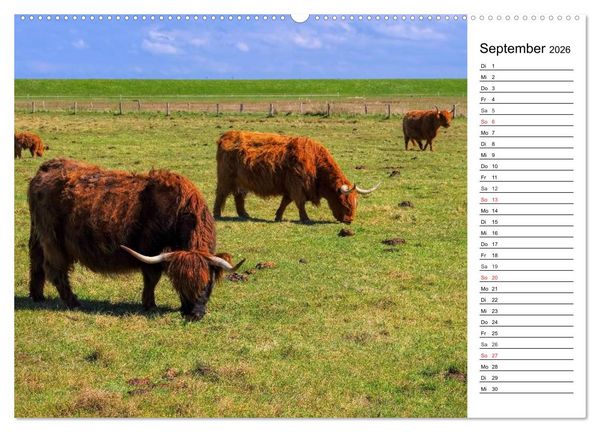 Produktbild: Langeoog - Sch&ouml;nste Insel Ostfrieslands (Wandkalender 2026 DIN A2 quer), CALVENDO Monatskalender