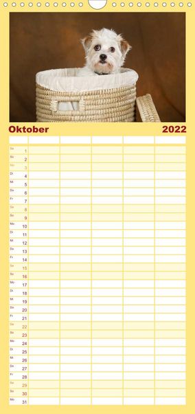 Produktbild: Familienplaner Bunte Pfoten (Wandkalender 2022 , 21 cm x 45 cm, hoch)