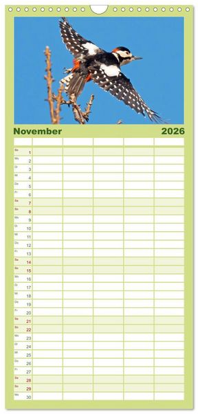 Produktbild: Familienplaner 2026 - Amsel, Fink und Star: Heimische V&ouml;gel mit 5 Spalten (Wandkalender, 21 x 45 cm) CALVENDO