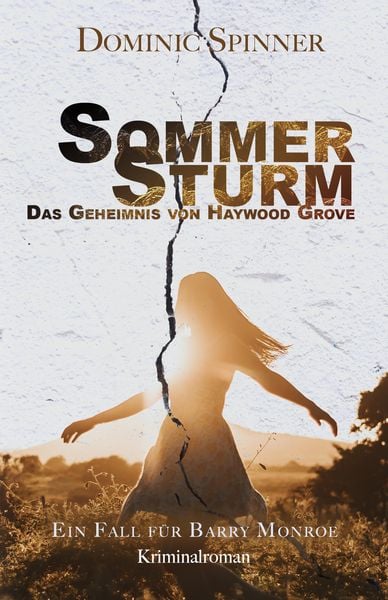 Produktbild: Sommersturm - Das Geheimnis von Haywood Grove: Der zweite Fall f&uuml;r Barry Monroe