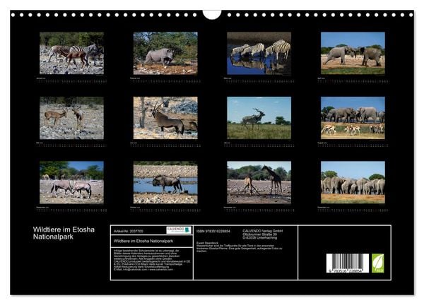 Produktbild: Wildtiere im Etosha Nationalpark (Wandkalender 2026 DIN A3 quer), CALVENDO Monatskalender
