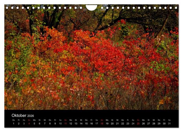 Produktbild: Donaudelta (Wandkalender 2026 DIN A4 quer), CALVENDO Monatskalender